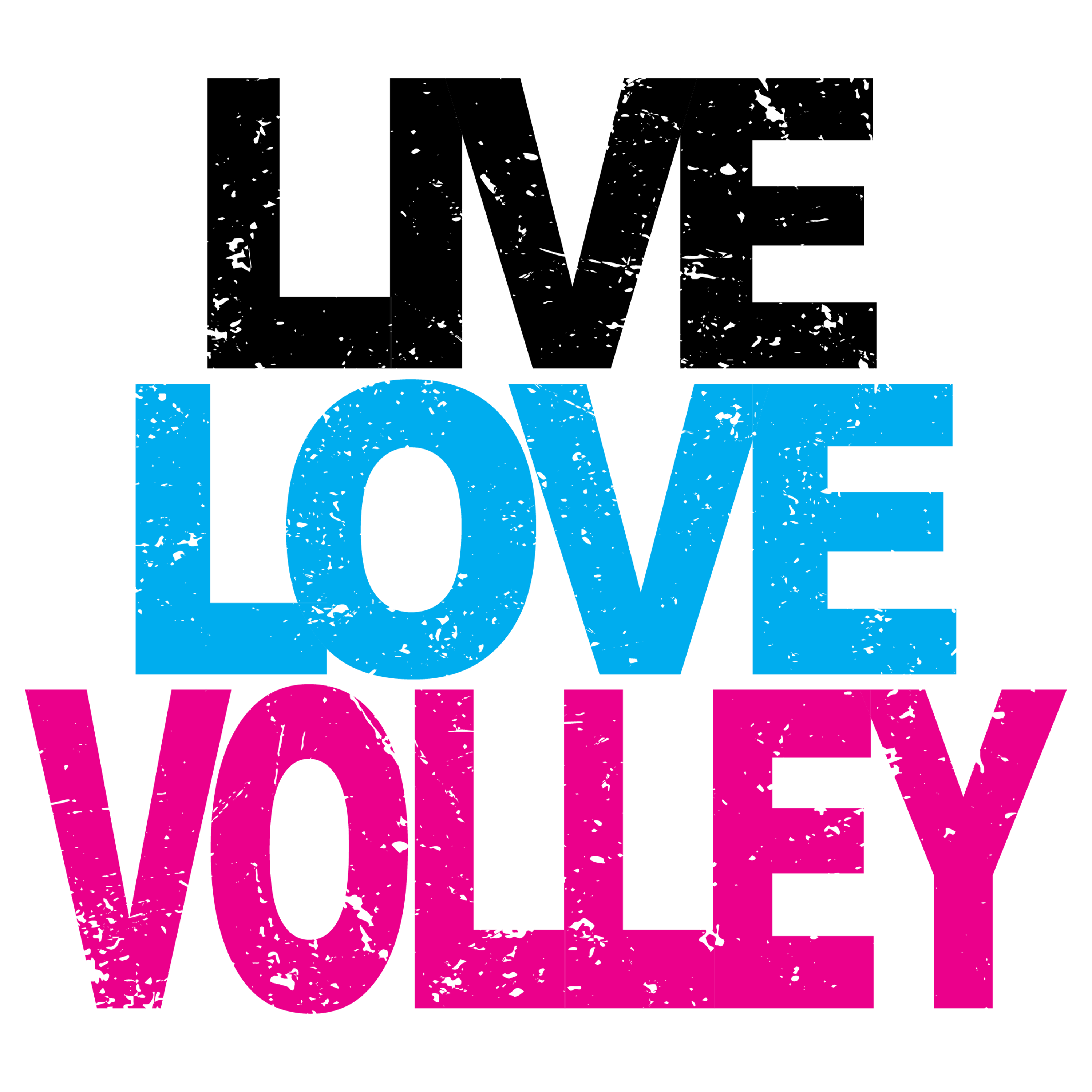 Live Love Volley
